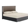 Amy Upholstered Panel Bed In Dark Oak, Queen