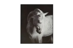 Archerwick Wall Art