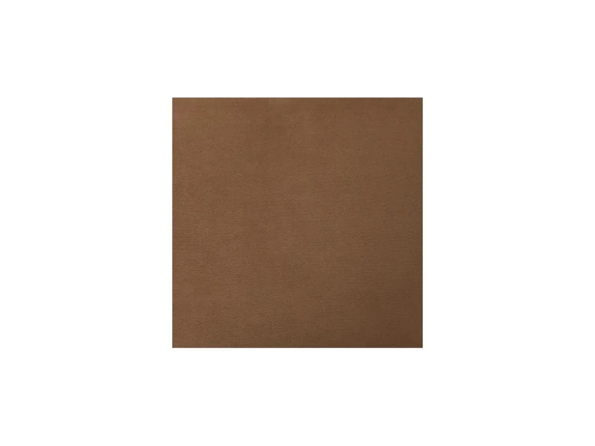 Caygan Throw Pillow In Honey