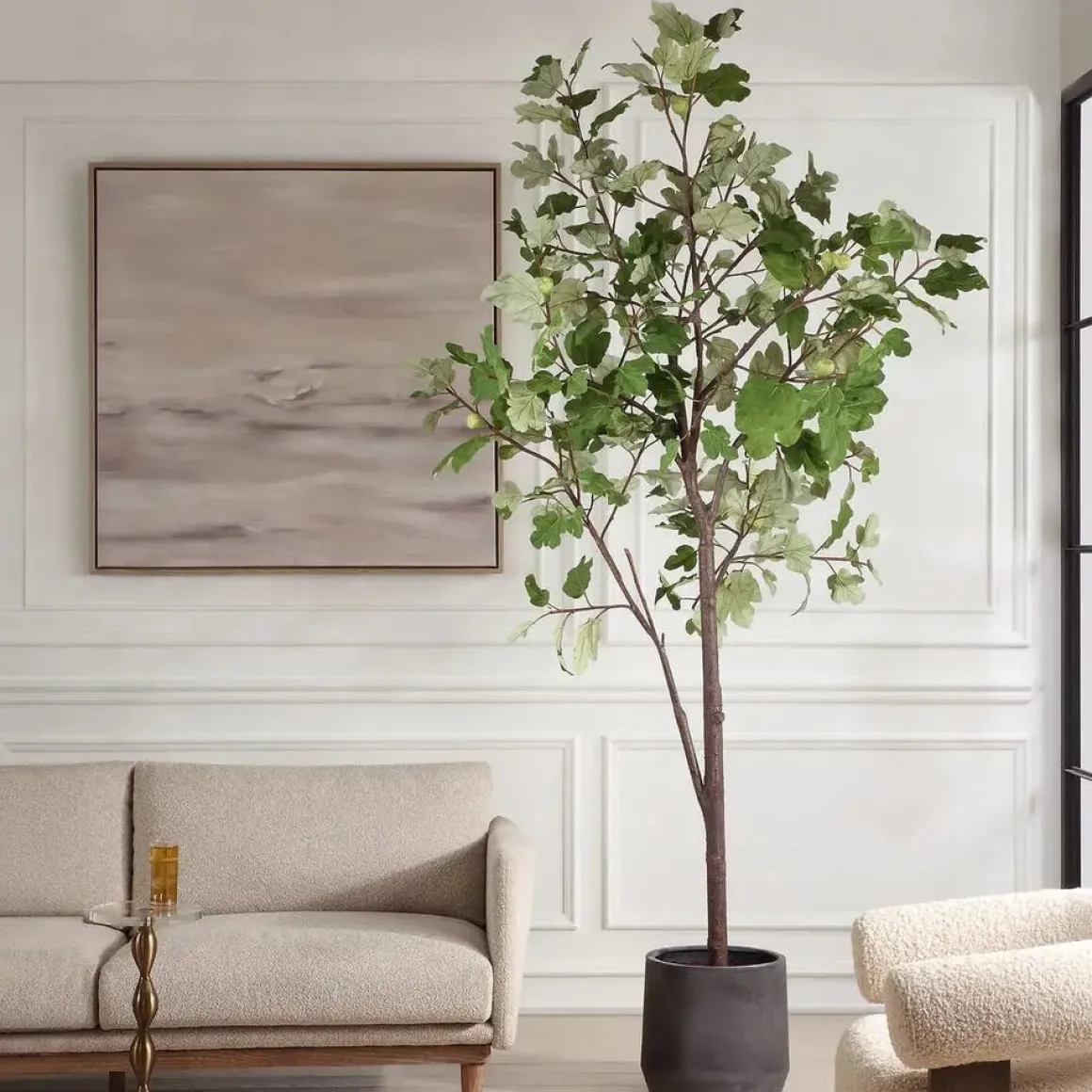 Eden Fig Tree Plant