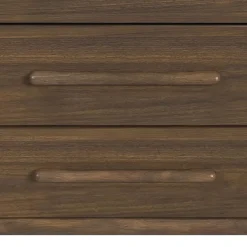 Elm Chest In Brown