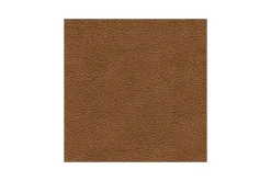 Emillia 5 Piece Sectional In Caramel