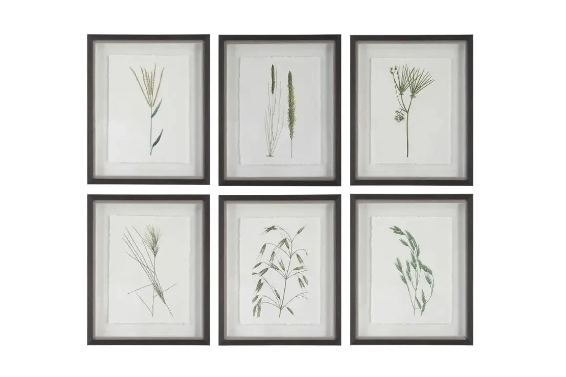 Forest Finds Wall Art, Set Of 6