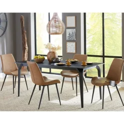 Nicoya Side Chair In Brown, Set Of 2