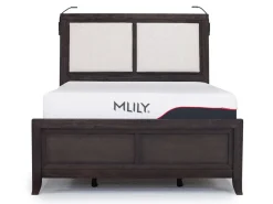 Riley Bookcase Bed, Dresser, Mirror & Nightstand In Carbonite, Ca King