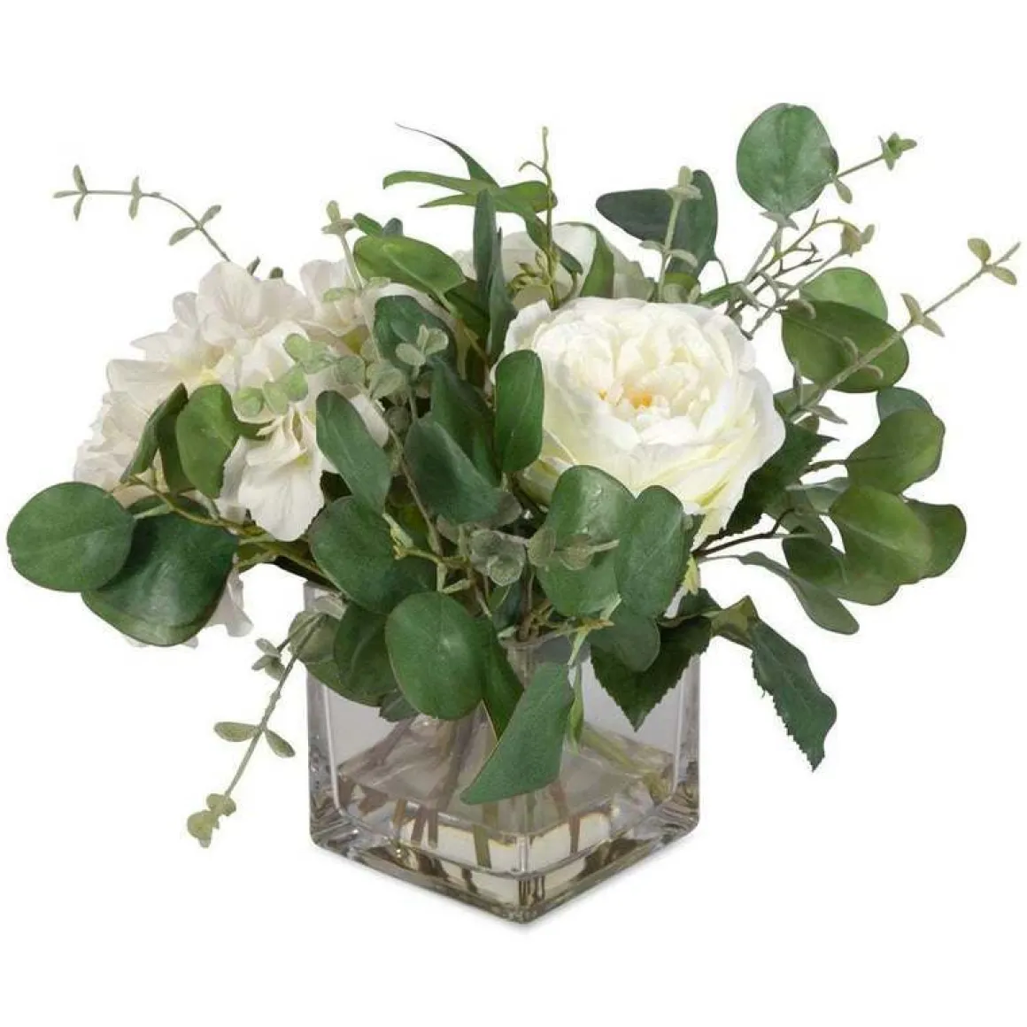 Rosewood Garden Plant