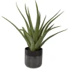 Tucson Plant