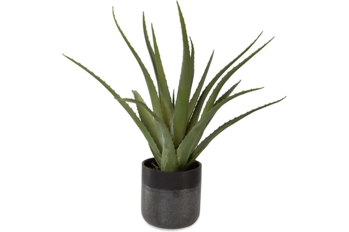 Tucson Plant