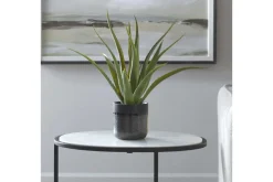 Tucson Plant