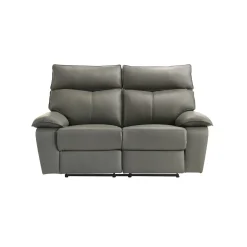 Wildcat Reclining Loveseat In Gray