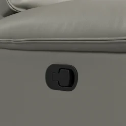 Wildcat Reclining Sofa In Gray